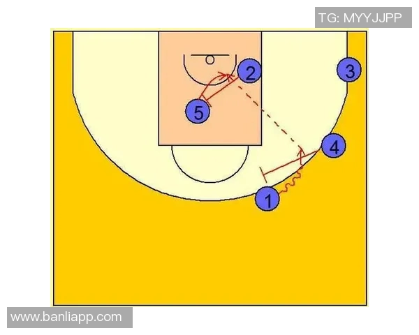 重庆排球队包夹战术分析与成效探讨