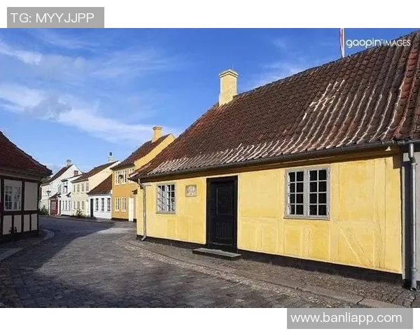 萨林杰的文学世界与青春迷惘的深刻探讨与反思