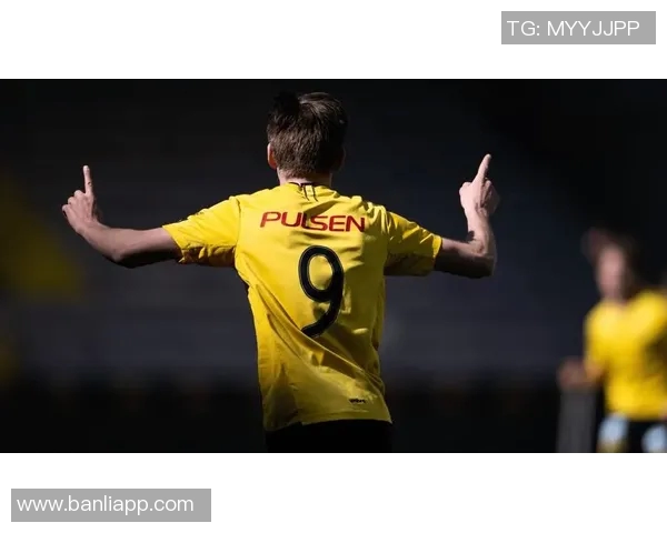 埃尔夫斯堡与哈队的精彩对决分析及赛前预测