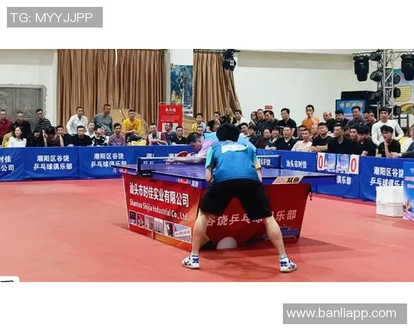 陈磊独家分享乒乓球技巧与心得助你提升球技的秘诀与经验